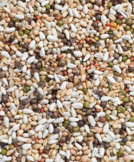 Deli Nature 33 - Graines à germer pour grandes perruches et perroquets 15kg