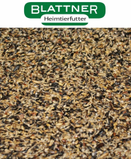 Blattner Chardonneret major