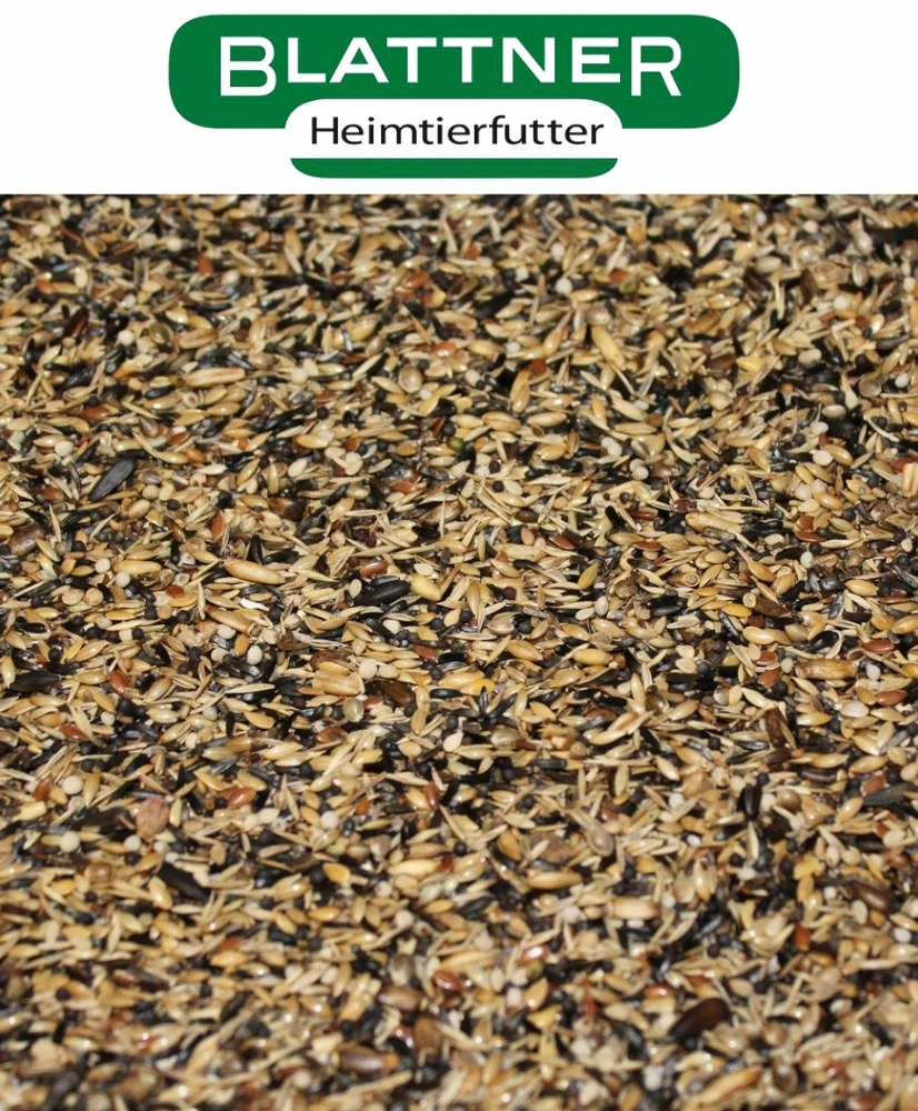 Blattner Chardonneret major