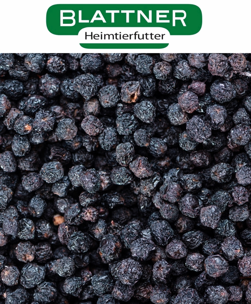 Baies d’aronia séchées - Blattner - 1kg