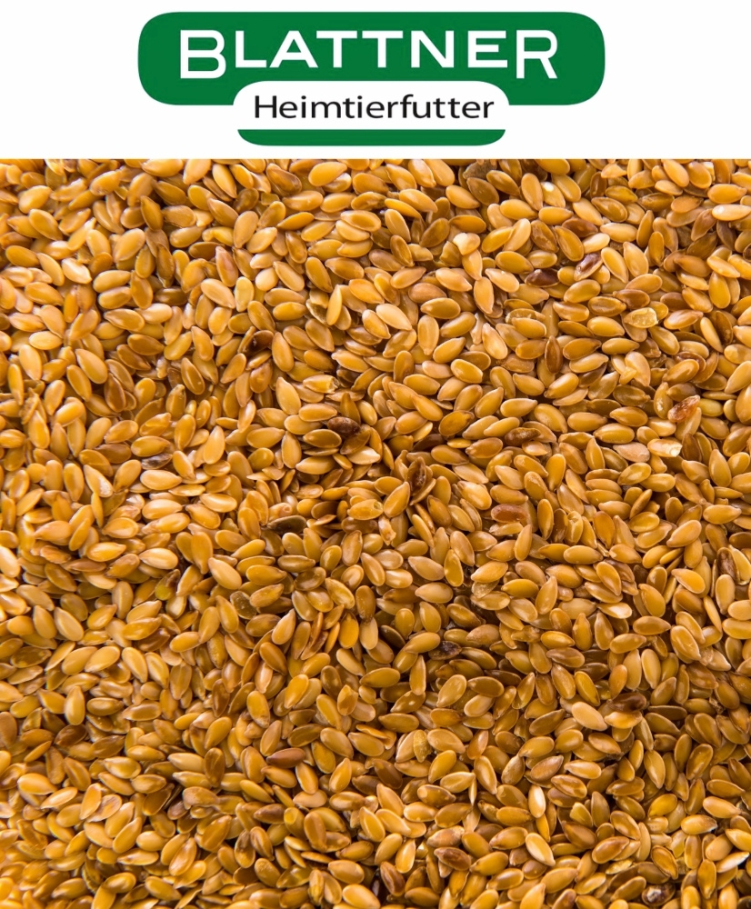 Graines de Lin jaune - Blattner - 1kg
