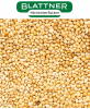 Millet Mohair jaune - Blattner - 1 kg