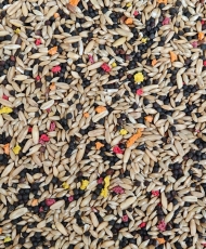 Manitoba Canari T1 Bisc - 20kg