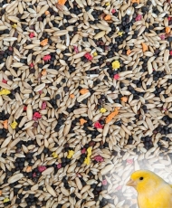 Manitoba Canari T1 Bisc - 20kg