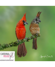 Cardinal vermillon