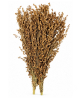 Millet à Balai 500g