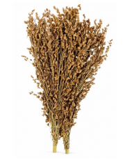 Millet à Balai 500g
