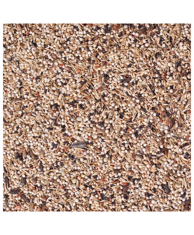 Deli Nature 47 Chardonnerets Light - 3kg