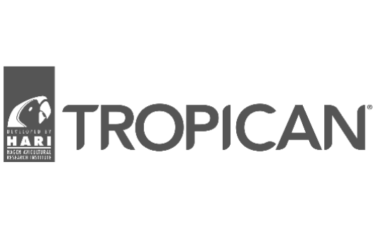 Hari Tropican